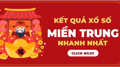 Dự đoán kqxs miền Trung ngày 8-10-2024